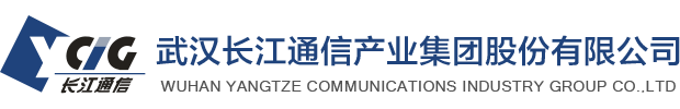 武汉利来w66通信产业集团股份有限公司